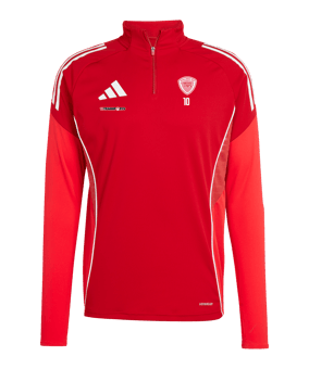 adidas Tiro 25 Competition Sweatshirt Rot
