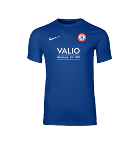 Nike Park VIII Trikot Blau F463