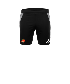 Short de Training adidas Tiro 24 Competition noir gris