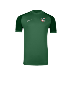 Nike Trophy VI Trikot Grün F302
