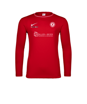 Nike Park 26 Longsleeve Rot F657