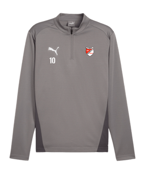 PUMA teamGOAL Training 1/4 Zip Sweatshirt Grau F13
