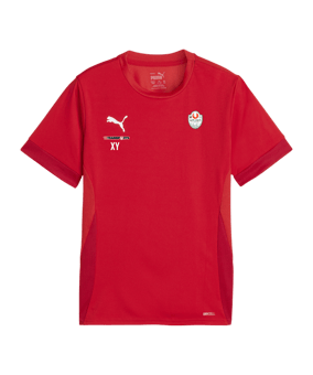 PUMA teamGOAL Matchday Trikot Kids Rot Weiss F01