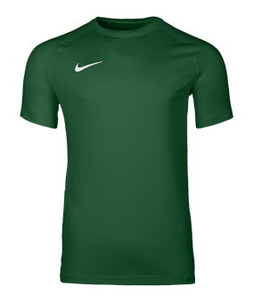 Nike Park VIII Trikot Grün F302 - gruen