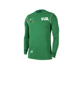 Nike Park 20 Sweatshirt Kids Grün Weiss F302