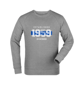 Merch Roller Sweatshirt Heather Grey | #established