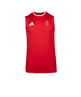 adidas Entrada 26 Sleeveless Trikot Weiß