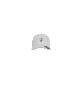 Merch 5 Panel Curved Cap Blau | #logo1c