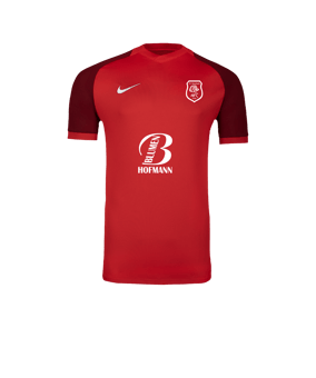 Nike Trophy VI Trikot Rot F657