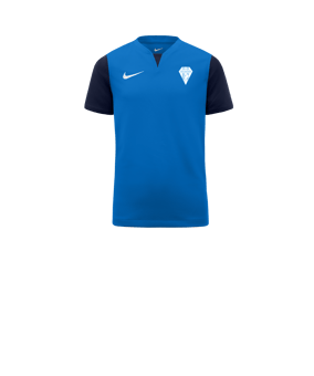 Maillot enfants Nike Trophy V bleu F463 
