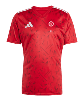 adidas Team Icon 25 Trikot Rot