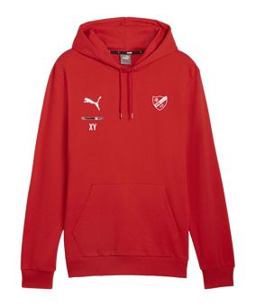 PUMA teamGOAL Casuals Hoody Rot F01