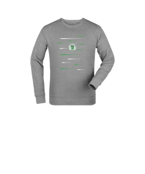 Merch Mini Changer 2.0 Sweatshirt Kids Heather Grey | #revolution
