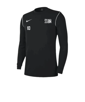 Nike Park 20 Sweatshirt Schwarz Weiss F010