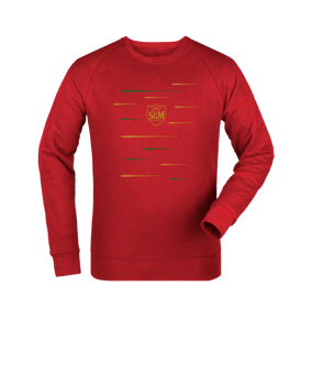 Merch Roller Sweatshirt Red | #lines
