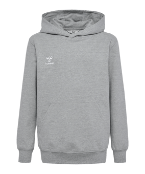 Hummel GO 2.0 Hoody Kids Grau F2006 - grau