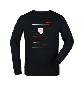 Merch Roller Sweatshirt Black | #lines