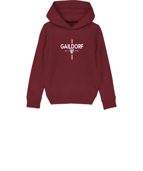 Merch Mini Cruiser 2.0 Hoody Kids Burgundy FC244