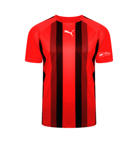 PUMA teamLIGA Striped Trikot Rot Schwarz F01