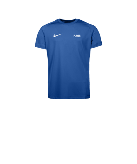 Nike Park VIII Trikot Kids Blau F463