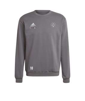 adidas Entrada 22 Sweatshirt Grau