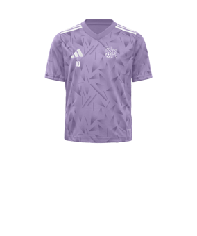 adidas Team Icon 25 Maillot Enfants Violet 
