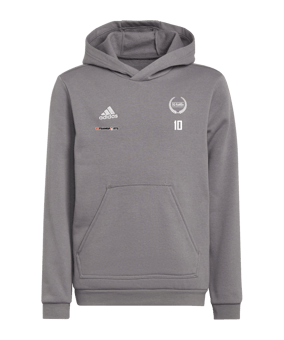 adidas Entrada 22 Hoody Kids Grau