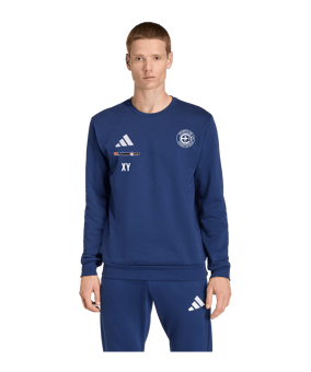 adidas Entrada 26 Sweatshirt Blau