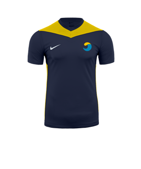 Nike Park Derby IV Trikot Blau Gelb F410