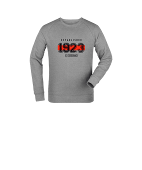 Merch Mini Changer 2.0 Sweatshirt Kids Heather Grey | #established