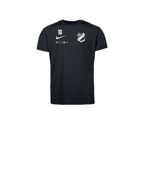 Nike Park VIII Trikot Kids Schwarz F010