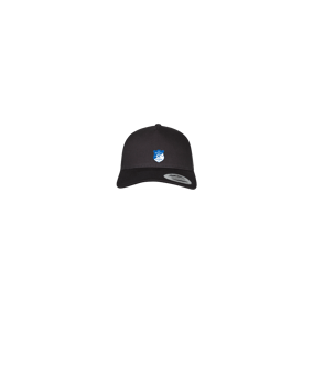 Merch 5 Panel Retro Trucker Cap Schwarz | logo4c