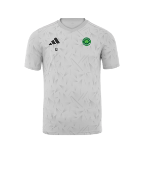 Maillot adidas équipe Icon 25 blanc 
