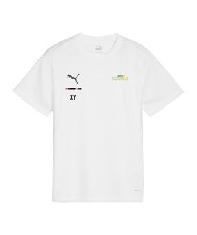 PUMA teamGOAL Trikot Kids Weiss F04