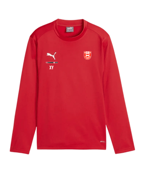 PUMA teamGOAL Training Sweatshirt Kids Rot F01