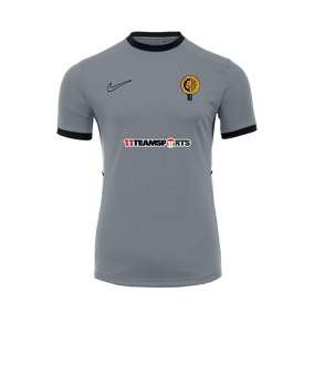 Nike Academy 25 Formation Gris C012