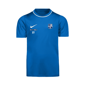 Nike Park 26 Trainingsshirt Kids Blau F463