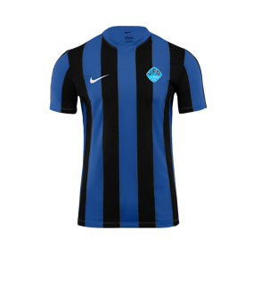 Nike Division V Striped Trikot Blau F463