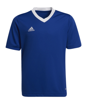 adidas Entrada 22 Trikot Kids Blau Weiss - blau