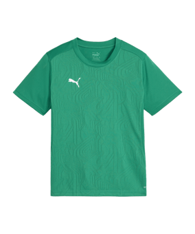 PUMA teamFINAL Trikot Kids Grün F05 - gruen