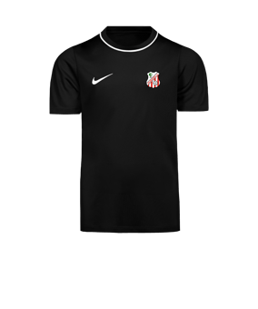 Nike Park 26 Camiseta De Entrenamiento Kids Negro C010