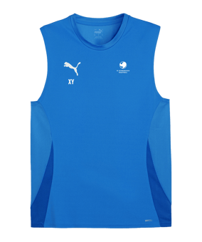 PUMA teamGOAL Tanktop Blau Weiss F02