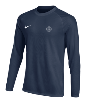 Nike Park VIII Trikot langarm Blau F410