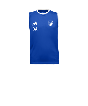 adidas Entrada 26 Trikot Kids Blau