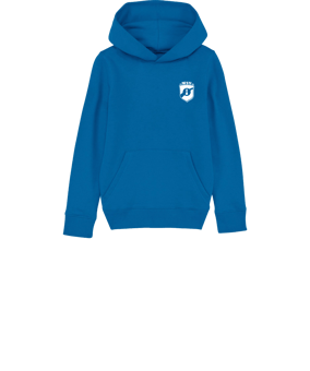 Merch Mini Cruiser 2.0 Hoody Kids Royal Blue | #schach