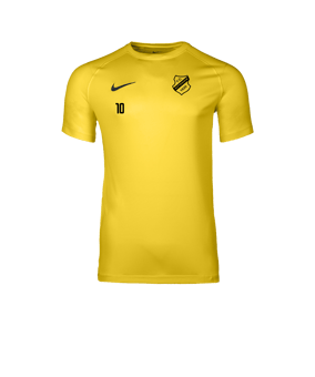Nike Park VIII Trikot Gelb F719