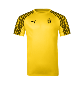 PUMA teamLIGA26 Trikot Gelb F07