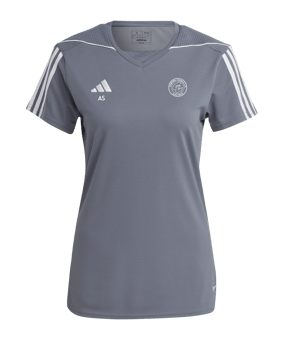 adidas Tiro 23 Trikot Damen Grau Weiss