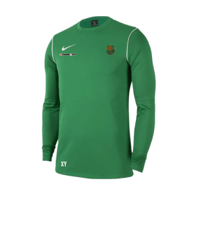 Nike Park 20 Sweatshirt Grün Weiss F302