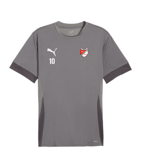 PUMA teamGOAL Matchday Trikot Grau Weiss F13